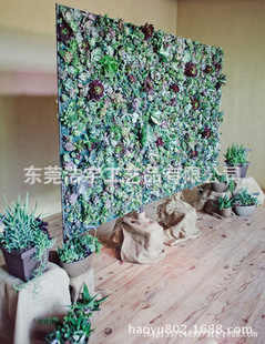 仿真植物墙批发采购指南 室内植物墙与多肉植物墙的厂家直销优势